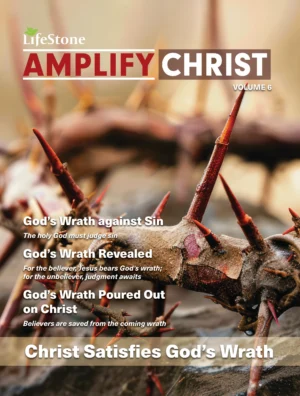 Union Gospel Press - AMPLIFY CHRIST VOLUME 6